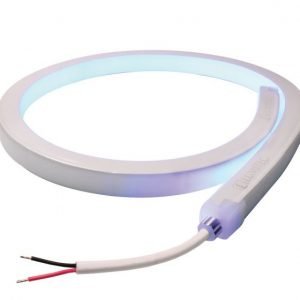 Moray Flex Light 3' - Spectrum SKU 101640